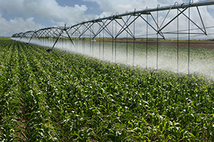 Agricultural Irrigation System