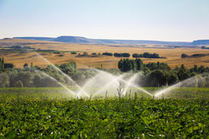 Agricultural Irrigation Systems
