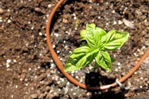 irrigation-types