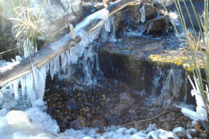 water feature winter care