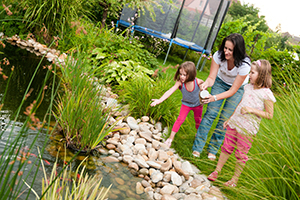Water Feature