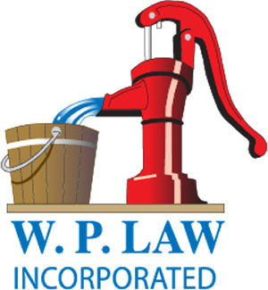 winter lawn care