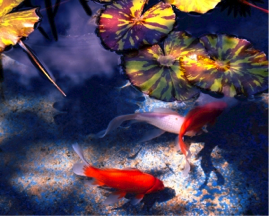water features