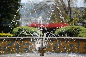 The Zen of Water Features
