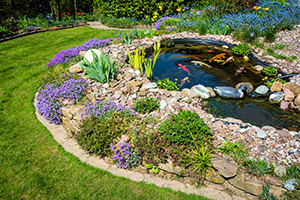 Pond with Koi fish