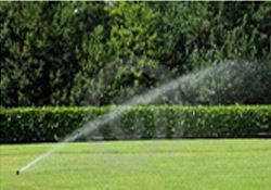 lawn sprinkler system