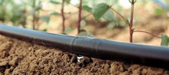 3 Fascinating Facts About Drip Irrigation