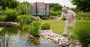 winter lawn care