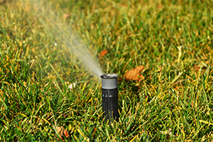 Crop Irrigation