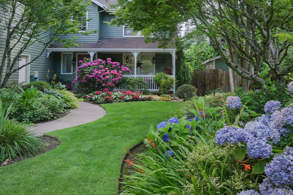 Yard of the month
