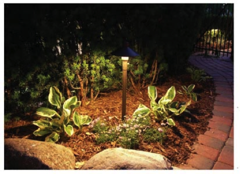 landscape lighting