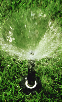 sprinkler system