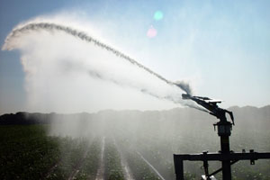 Agricultural Irrigation