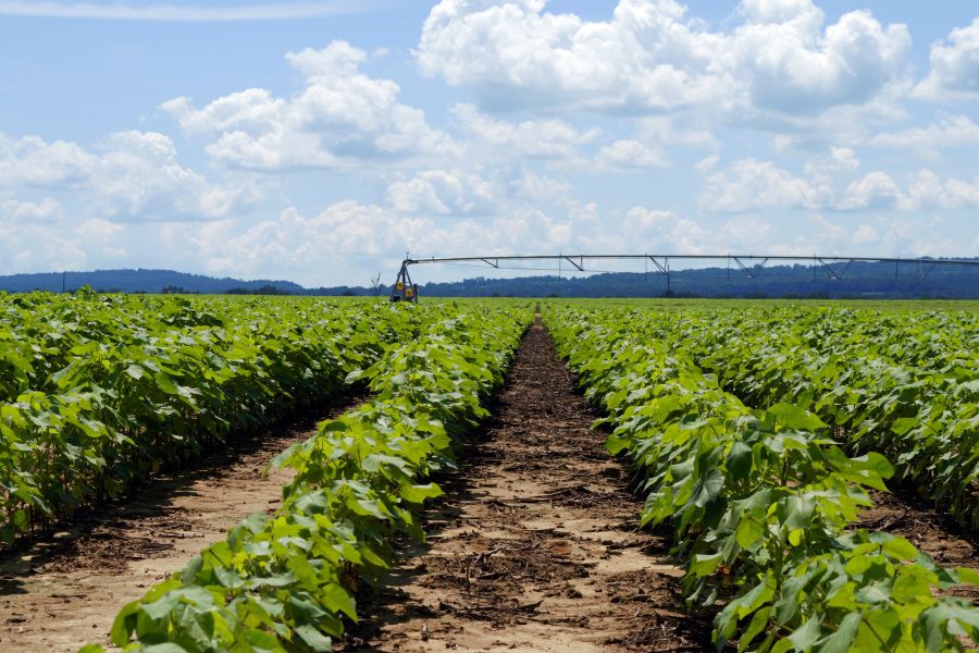 irrigation solutions