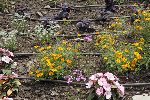 What to Know About Landscape Products, for Rookies