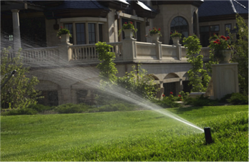 automatic watering system