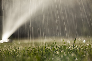 Sprinkler