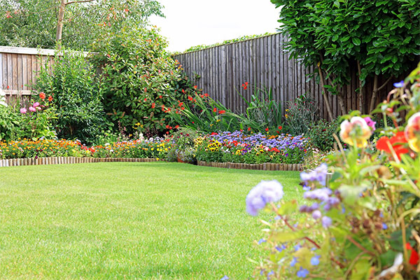 lawn care tips