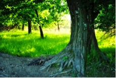 common irrigation pipe problems