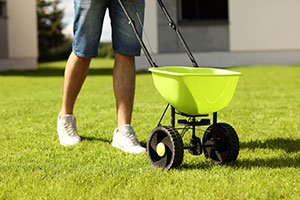 lawn