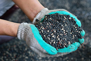 Lawn Fertilizer
