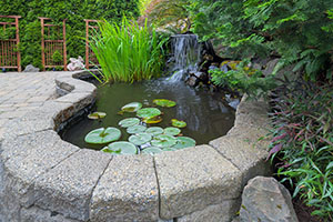 water-feature