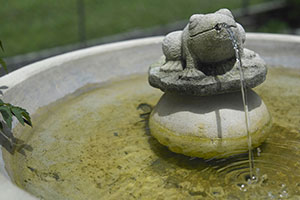 Water Feature having problems functioning