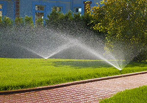 sprinkler system