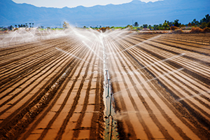 building irrigation system