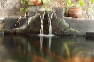 prevent garden pond from freezing