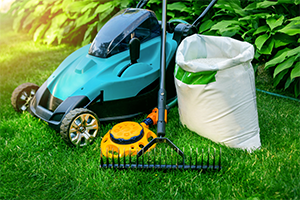 lawn care tips
