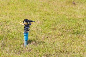 Sprinkler