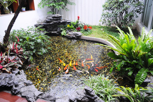 small pond