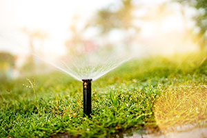 sprinkler