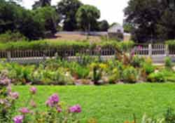 installing garden drip system