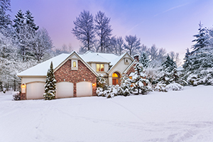 Winter Lawn