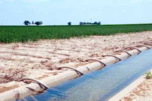 Crop Irrigation