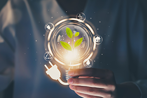 energy efficient light bulbs