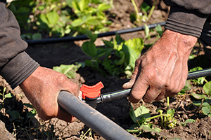 Performance-Check-on-Irrigation-System