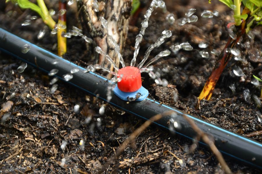 water management for gardens