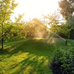 An irrigation system watering a green lawn with trees along the sides and back.