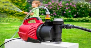 winter lawn care