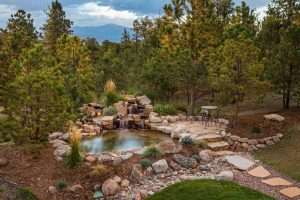 backyard water garden