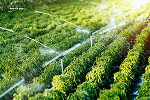 agricultural-irrigation