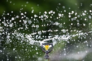 Irrigation System