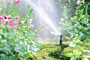 raise-your-sprinkler-heads