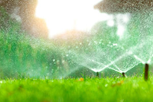 irrigation