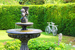 Bird Bath