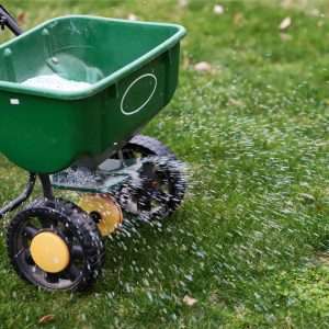 lawn fertilizer program 