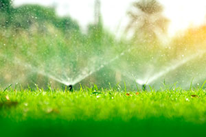 irrigation